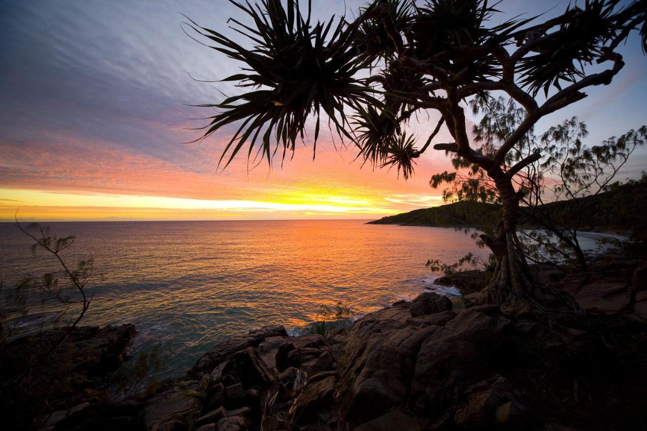 Low Tide On Noosa Sound - Pet Friendly Exteriér fotografie
